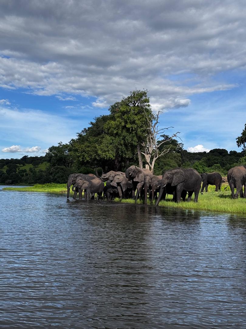 10 Day Safari